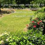 13502029_10154185667699277_4595009322640451194_n