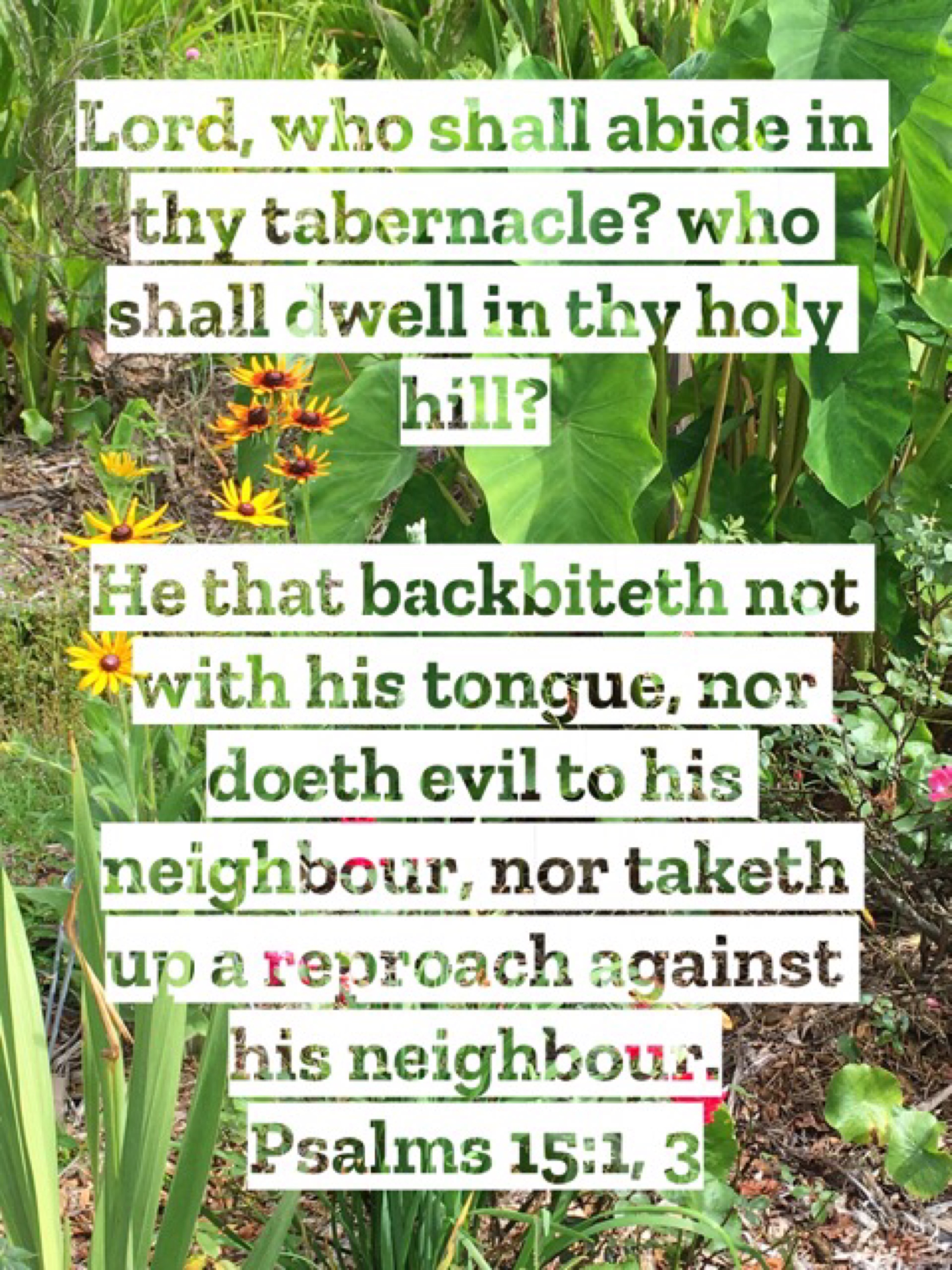 希少 THE PSALMS: THEIR ORIGIN AND MEANING