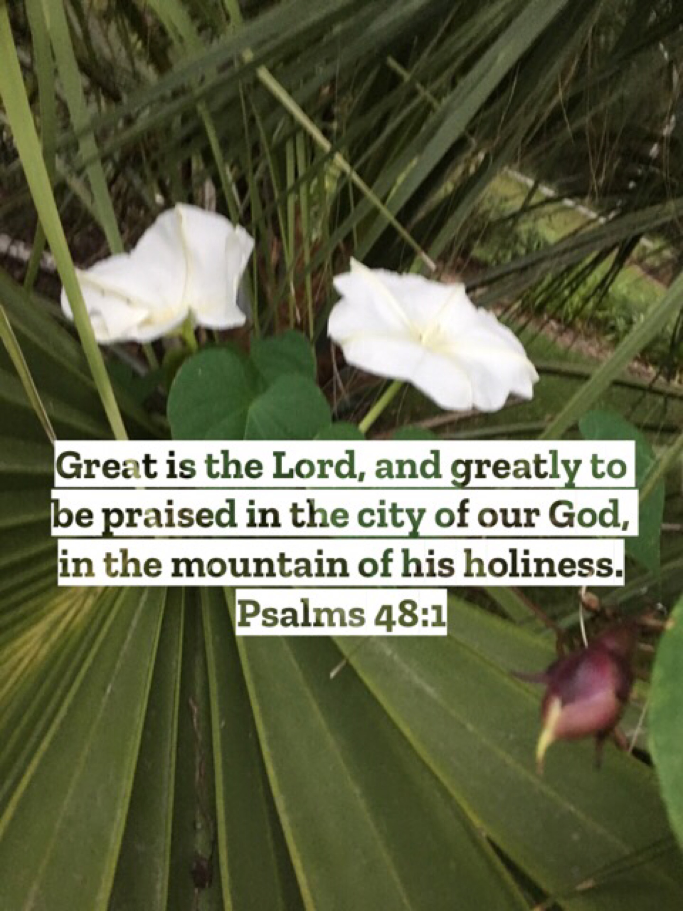 Psalm Chapter 48: Verses 1-7 | You Are Not the Only One