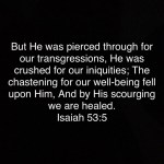 image_568294962905024