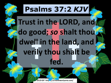 tRUSTINTHElordWITHall