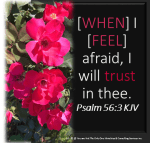 FRIDAY MAY 31&nbsp;2019