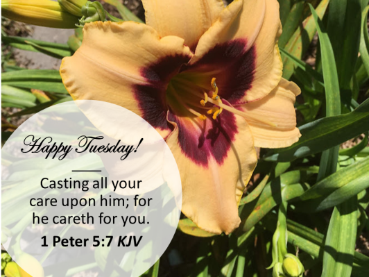 MAY second weekTUESDAY