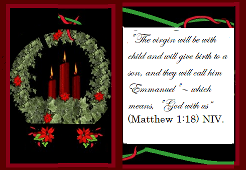 the virgin shall conceinve