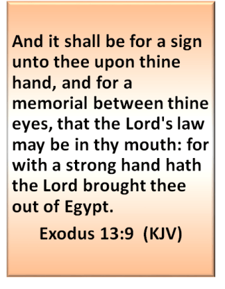 exodus 13 9
