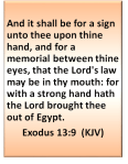 exodus 13 9