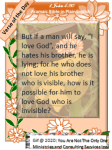 1 john 4&nbsp;20