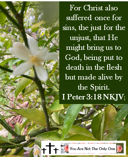 This image has an empty alt attribute; its file name is for-christ-also-suffered-once.png