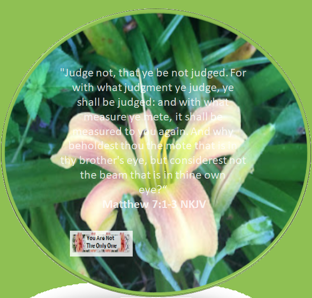 This image has an empty alt attribute; its file name is judge-not.png