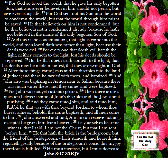 This image has an empty alt attribute; its file name is john-3-verses-17-30.png