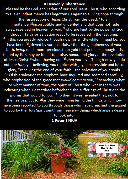 This image has an empty alt attribute; its file name is blessed-be-the-god-and-father-of-our-lord-jesus.png